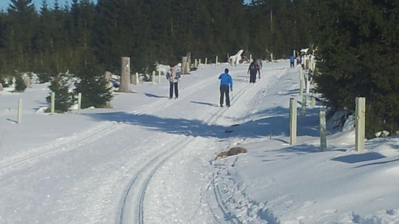 Gespurte Loipe Richtung Johanngeorgenstadt Gespurte Loipe Richtung Johanngeorgenstadt